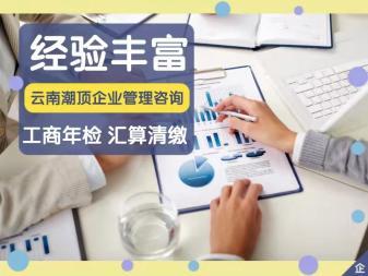 代理記賬 財稅服務 注冊公司提供地址 公司變更 內(nèi)資公司注冊 注銷公司